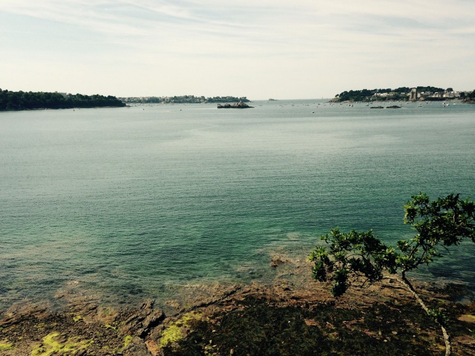 lhotel particulier ascott