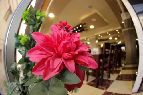 nahas plaza