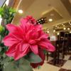 nahas plaza