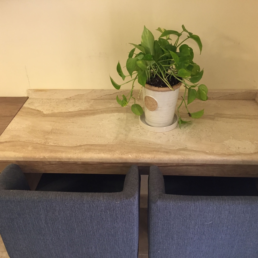 the royal luxury apartments and studios