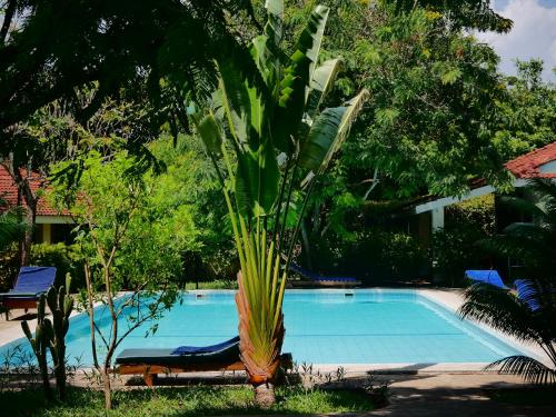 diani cottages