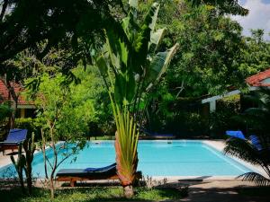 diani cottages