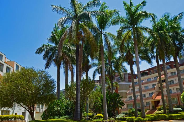 norfolk towers serviced apartments