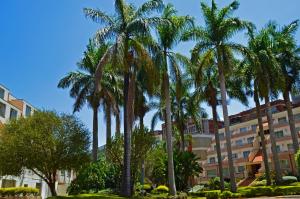 norfolk towers serviced apartments
