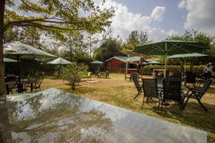 balis best bar and resort