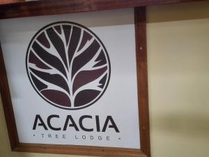 acacia tree lodge