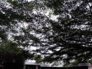 bermuda garden hotel