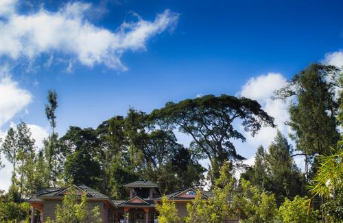 Kuniville Guest House,Nyeri>>Aberdare National Park,3 star