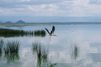 Sirville Lake Elementaita Lodge,Lake Elementaita>>Gilgil,3 star