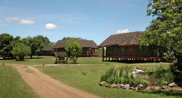 royal mara safari lodge
