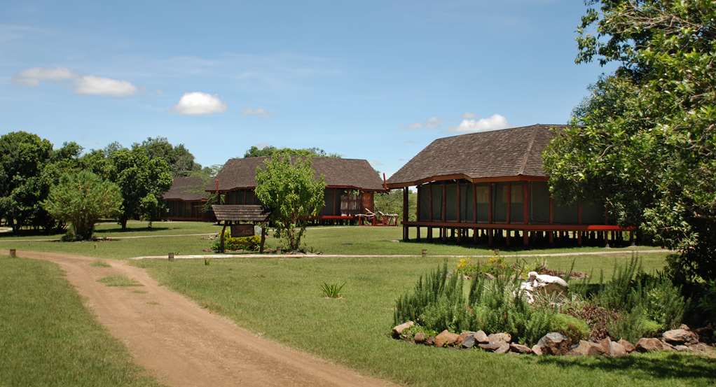 royal mara safari lodge