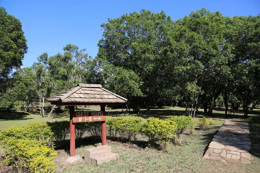 royal mara safari lodge