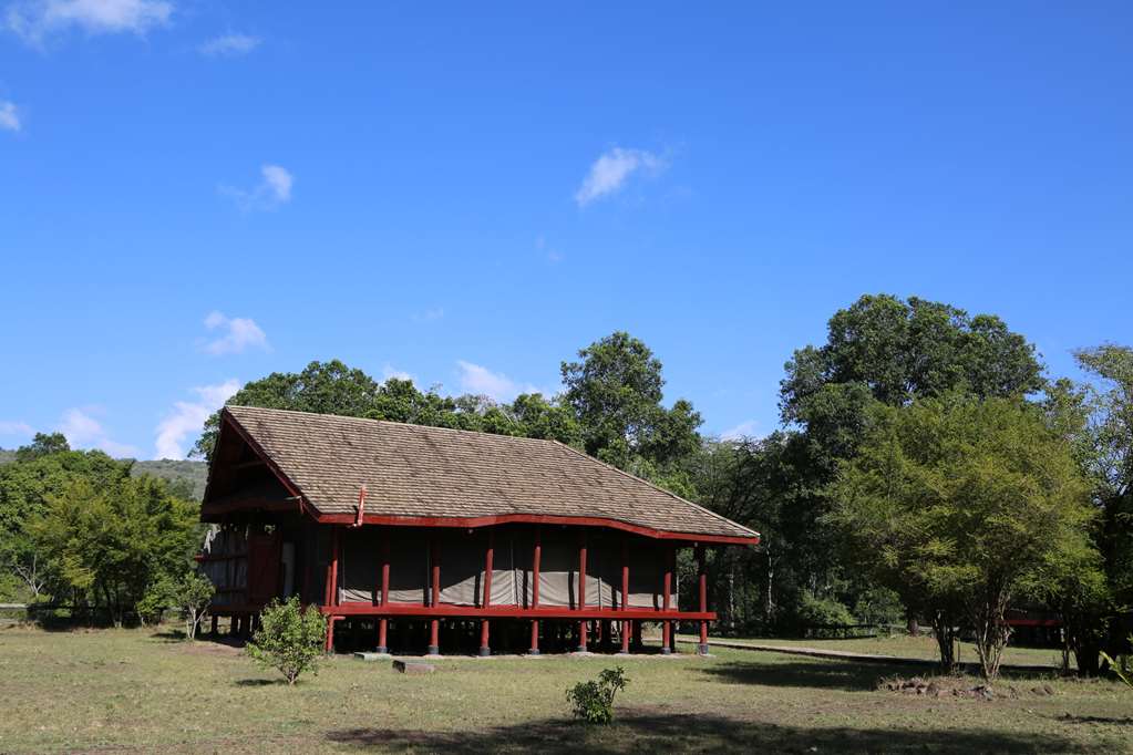 royal mara safari lodge