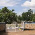 kakamega sheywe hotel