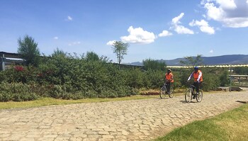 nanyuki