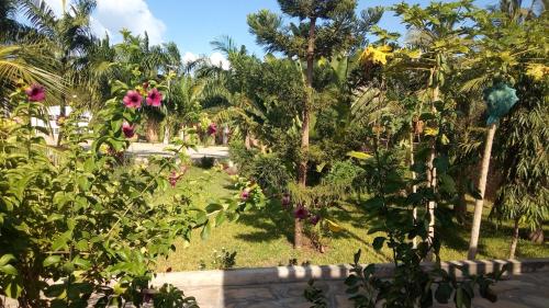 queens chateau boutique villa