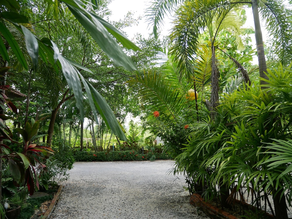 baan suan palm resort