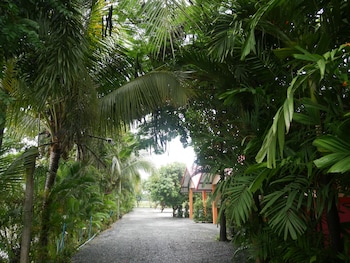 baan suan palm resort