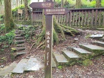 zhuqi