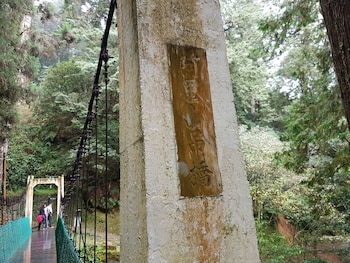 zhuqi