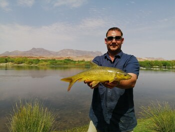 sandfontein