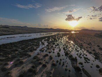 sandfontein