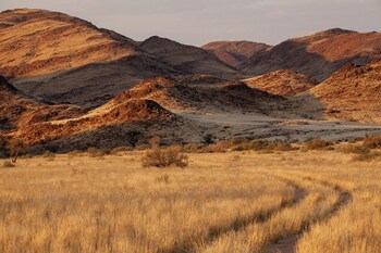sandfontein