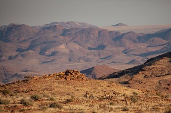 sandfontein