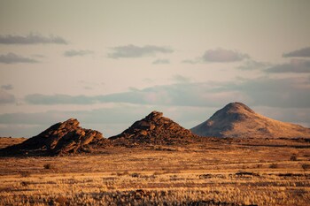 sandfontein