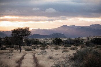 sandfontein