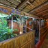 gala gala eco resort