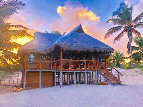 pura vida lodge