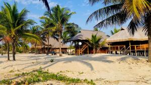 pura vida lodge