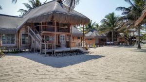 pura vida lodge