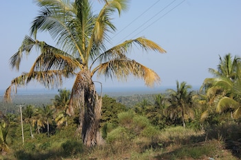 Pura Vida Lodge,Morrumbene>>Inhambane,3 star