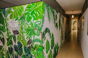 hostal gayser hostel