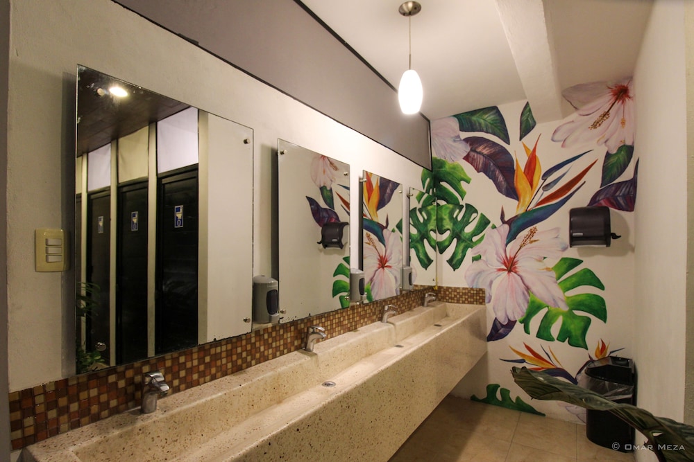 hostal gayser hostel