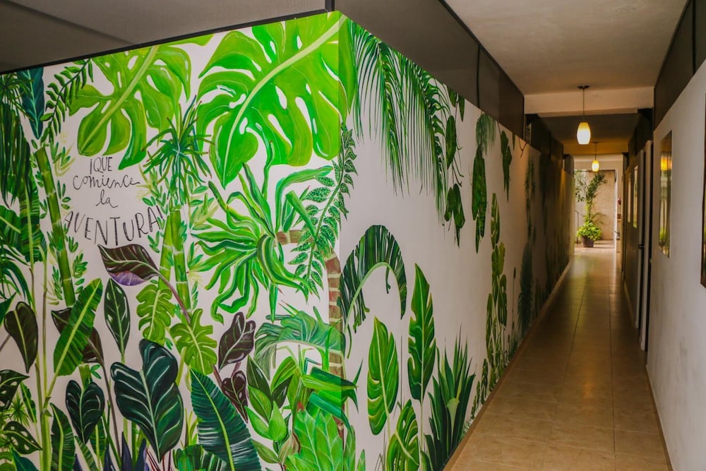 hostal gayser hostel