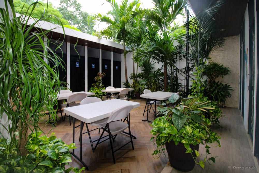 hostal gayser hostel