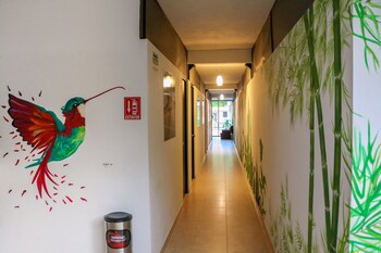 hostal gayser hostel