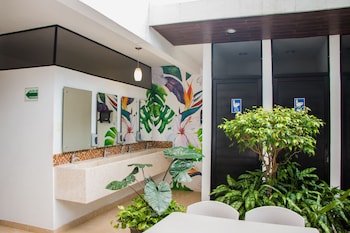 hostal gayser hostel