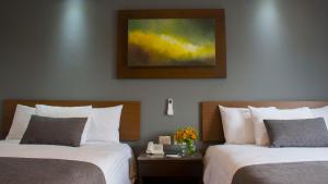 eco hotel guadalajara expo