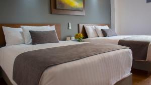 eco hotel guadalajara expo