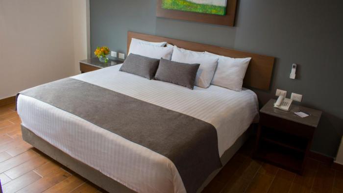 eco hotel guadalajara expo