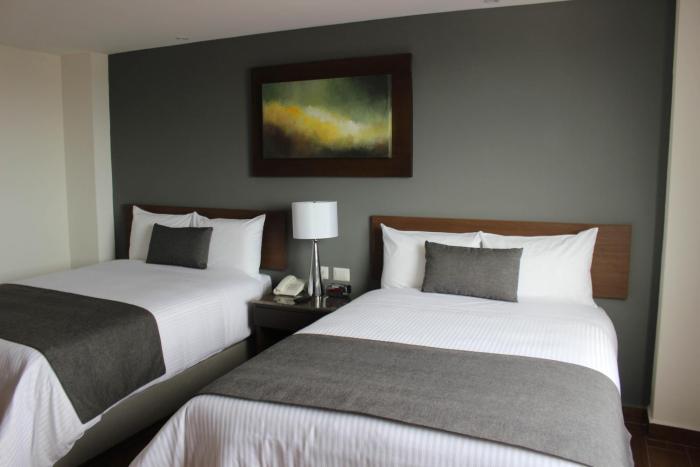 eco hotel guadalajara expo