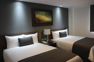 eco hotel guadalajara expo