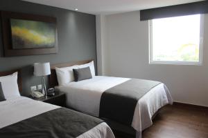 eco hotel guadalajara expo