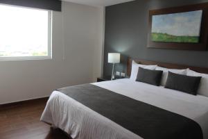 eco hotel guadalajara expo