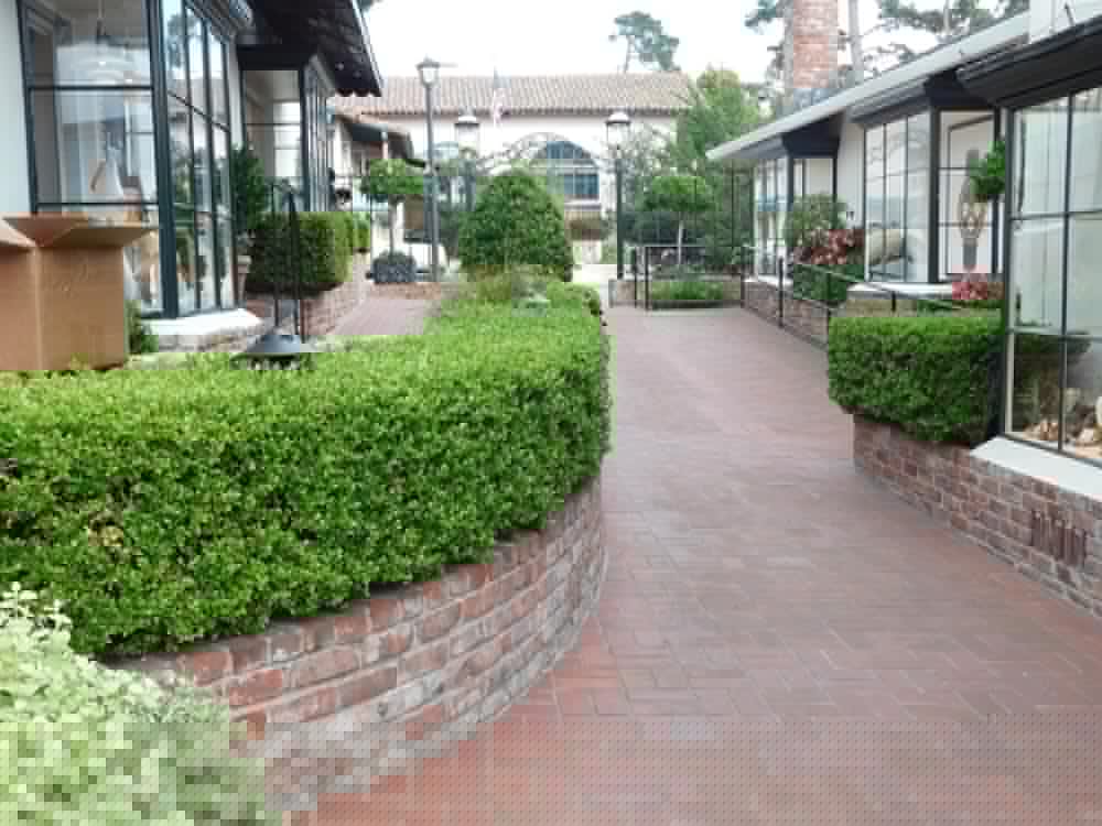 carmel