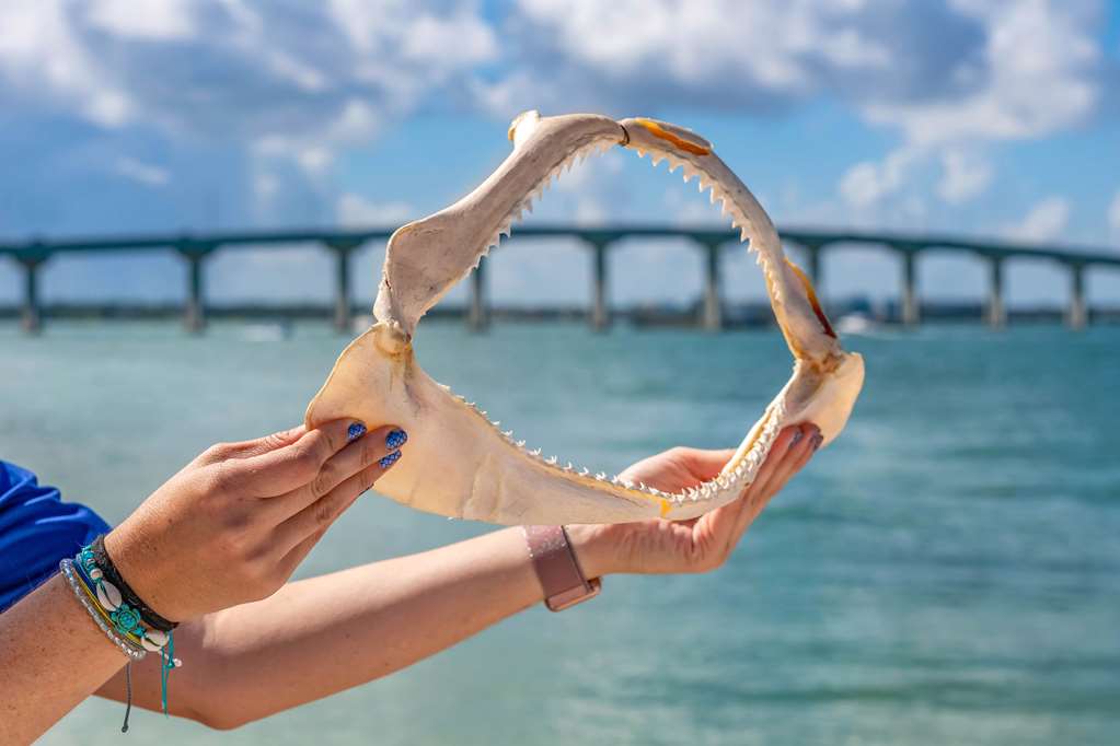 clearwater beach